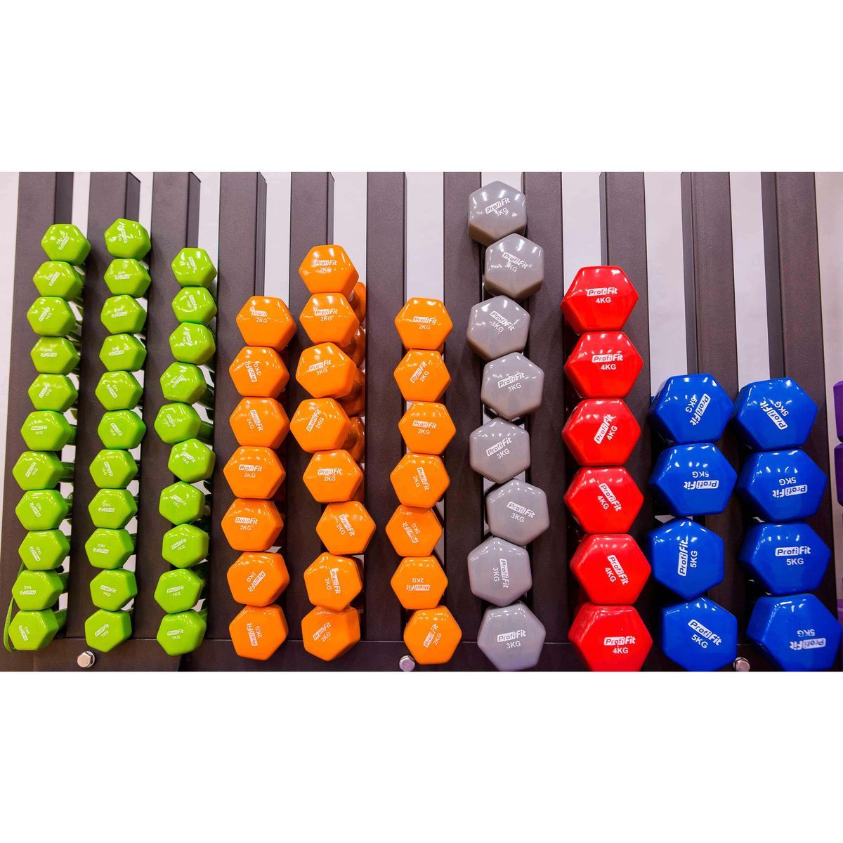 profi-fit_1_2_-1.jpg