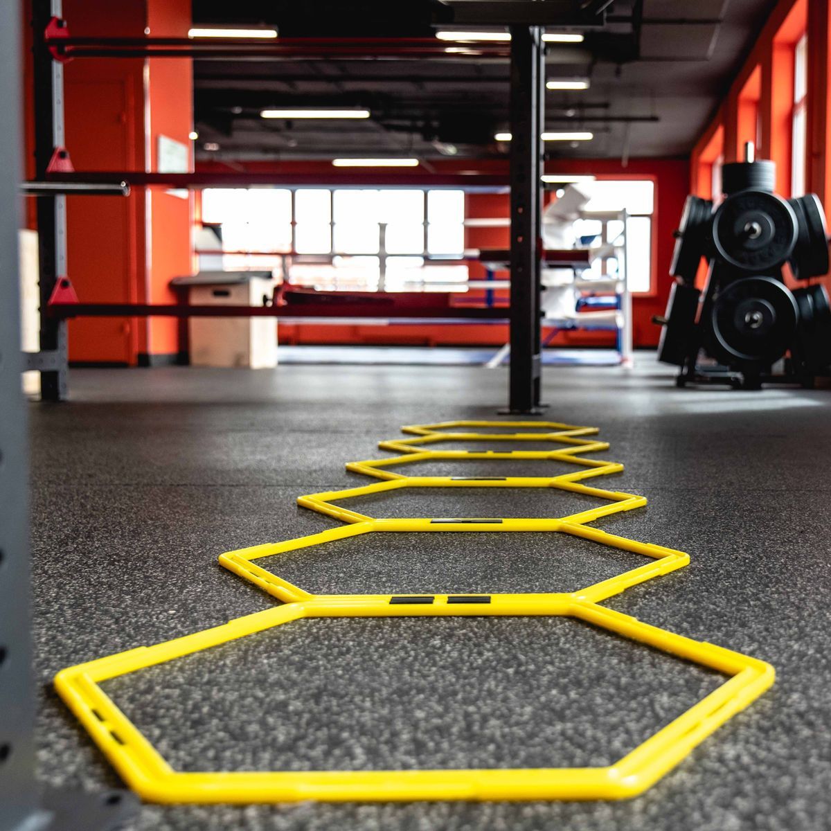 profi-fit_2__2_11-1.jpg